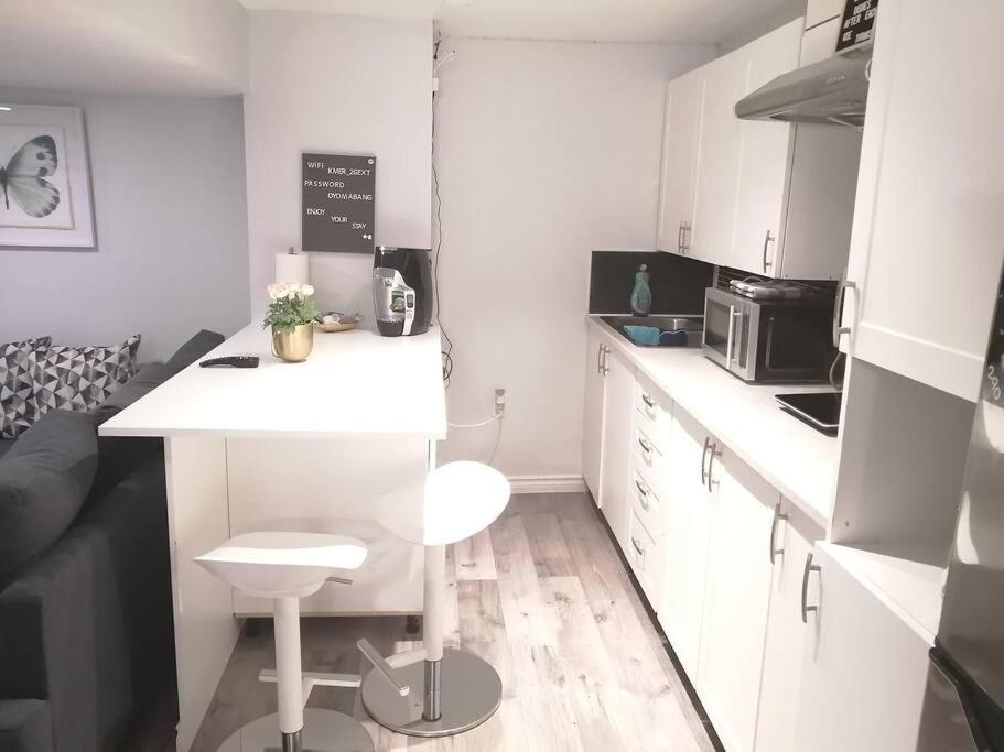 Cozy Nest Basement Unit Apartment Hamilton Bagian luar foto