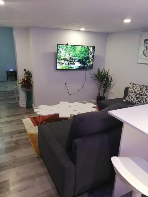 Cozy Nest Basement Unit Apartment Hamilton Bagian luar foto