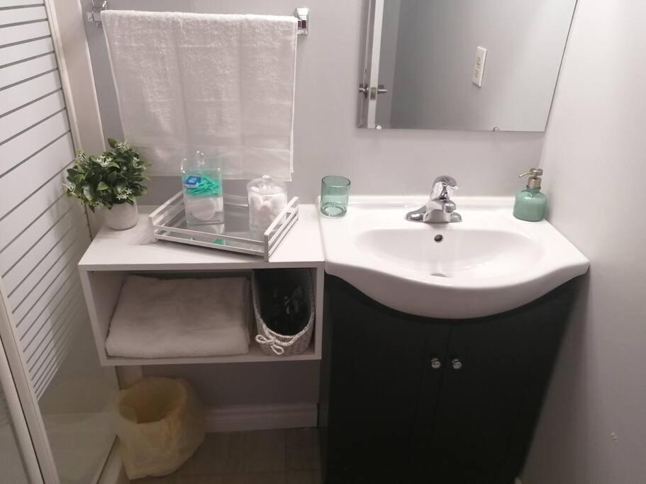 Cozy Nest Basement Unit Apartment Hamilton Bagian luar foto