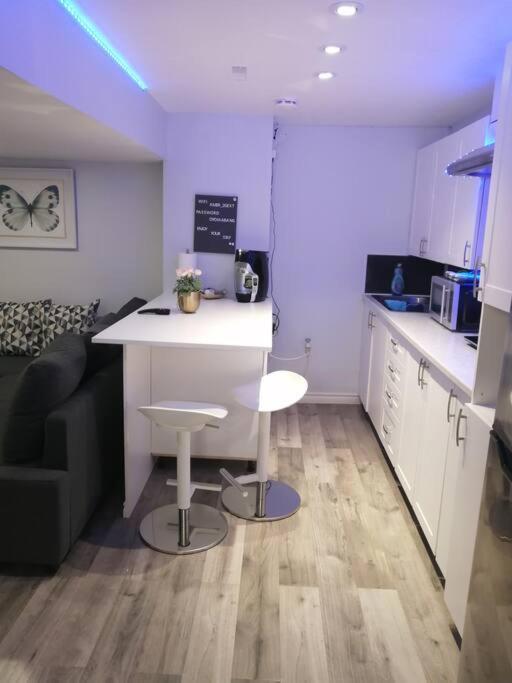 Cozy Nest Basement Unit Apartment Hamilton Bagian luar foto