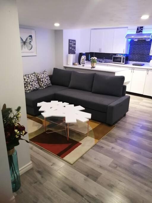 Cozy Nest Basement Unit Apartment Hamilton Bagian luar foto