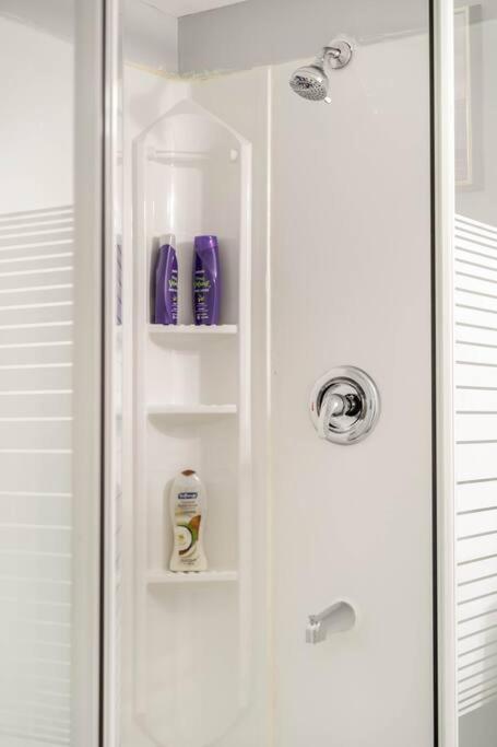 Cozy Nest Basement Unit Apartment Hamilton Bagian luar foto