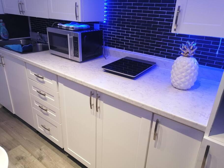 Cozy Nest Basement Unit Apartment Hamilton Bagian luar foto