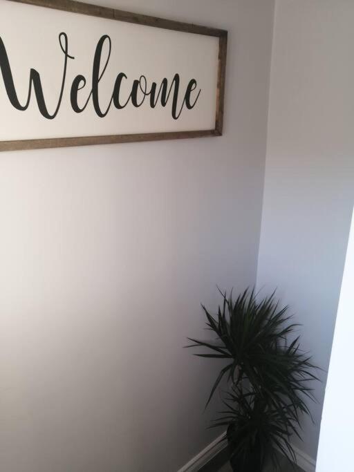 Cozy Nest Basement Unit Apartment Hamilton Bagian luar foto